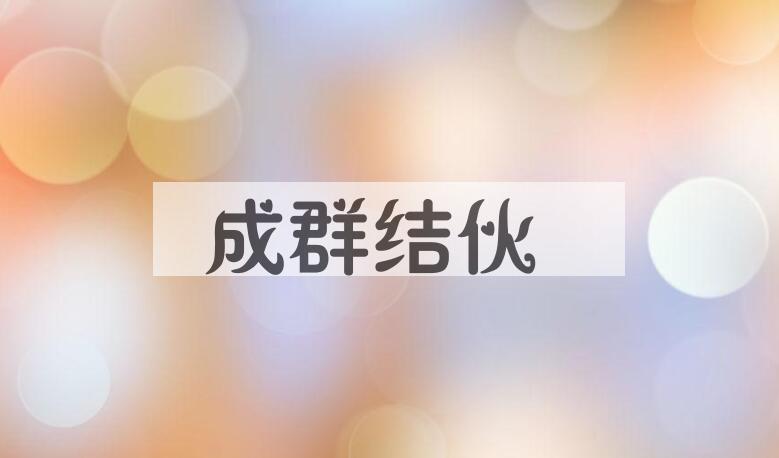成语成群结伙是什么意思？