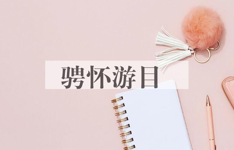 成语骋怀游目是什么意思？