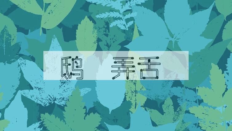成语鸱鸮弄舌是什么意思？