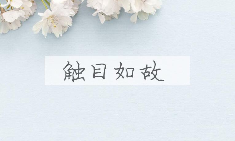 成语触目如故是什么意思？