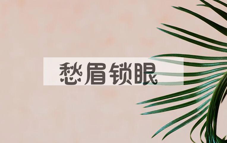 成语愁眉锁眼是什么意思？