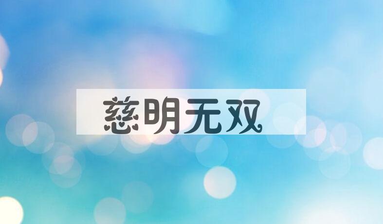 成语慈明无双是什么意思？