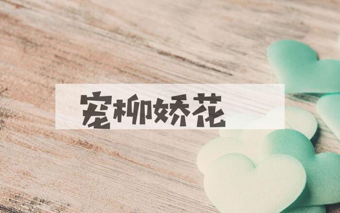 成语宠柳娇花是什么意思？