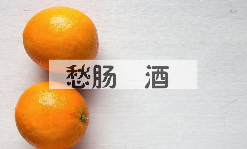 成语愁肠殢酒是什么意思？
