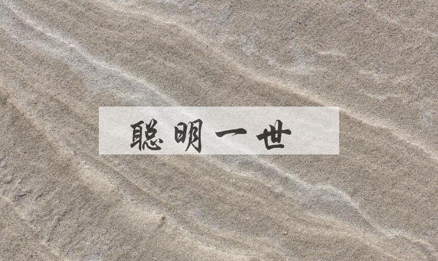 成语聪明一世是什么意思？