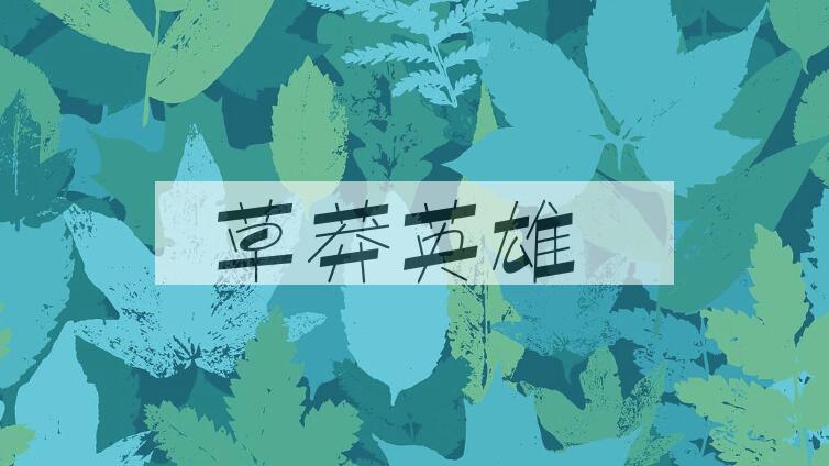 成语草莽英雄是什么意思？