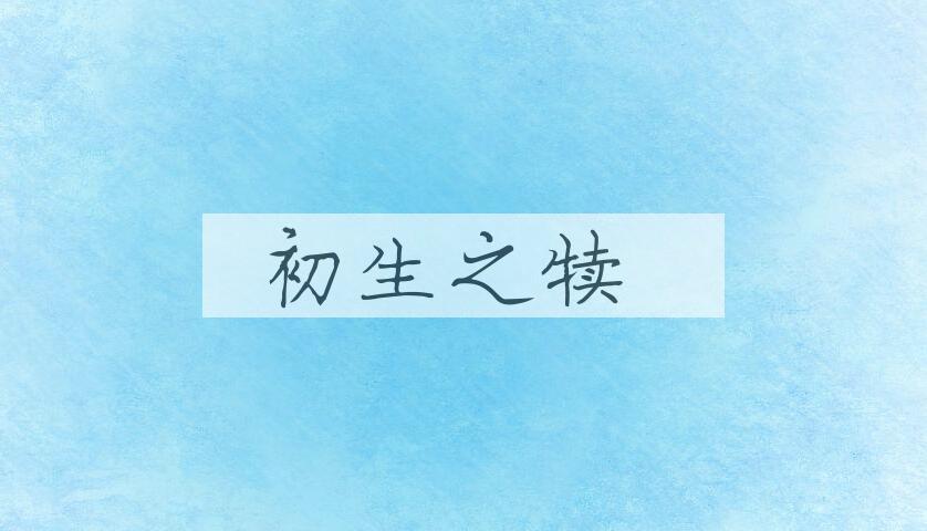 成语初生之犊是什么意思？