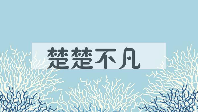 成语楚楚不凡是什么意思？