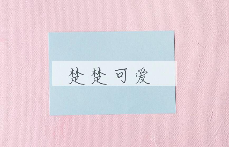 成语楚楚可爱是什么意思？