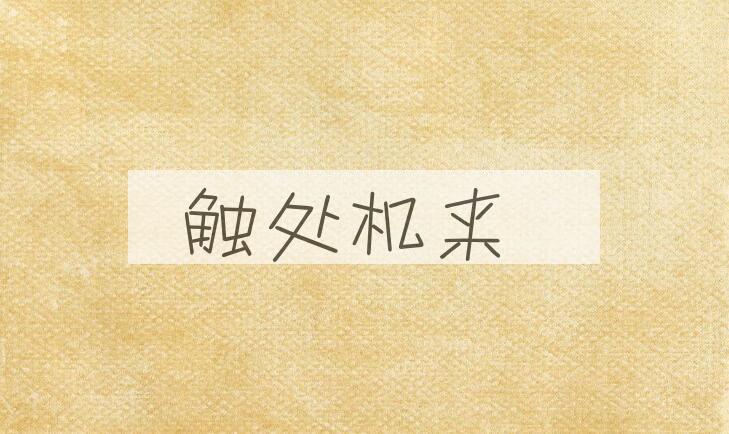 成语触处机来是什么意思？