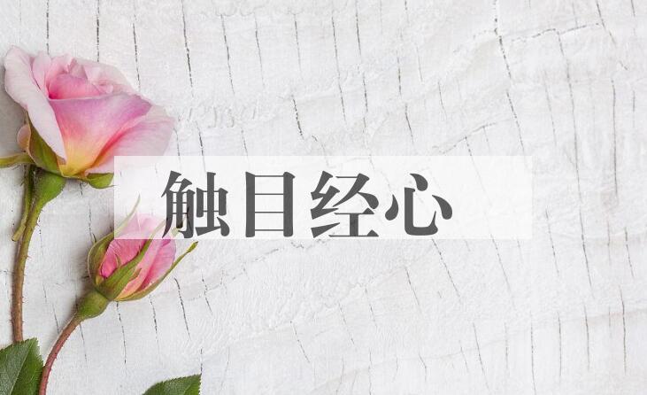 成语触目经心是什么意思？