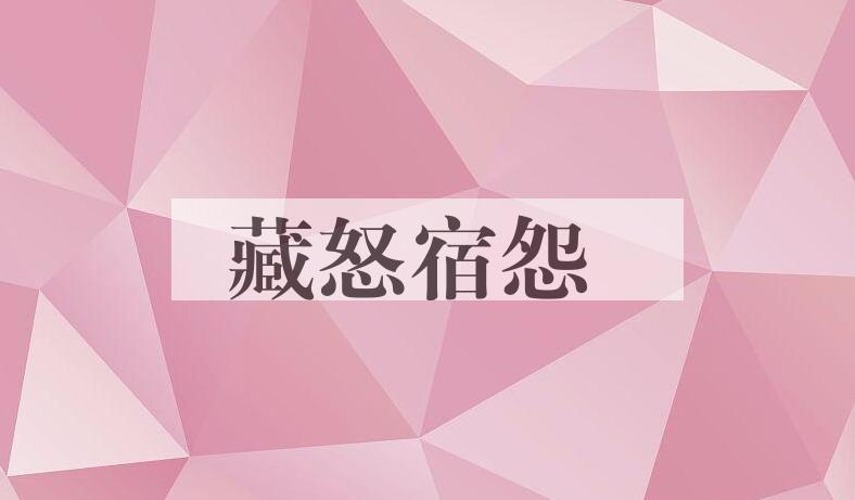 成语藏怒宿怨是什么意思？