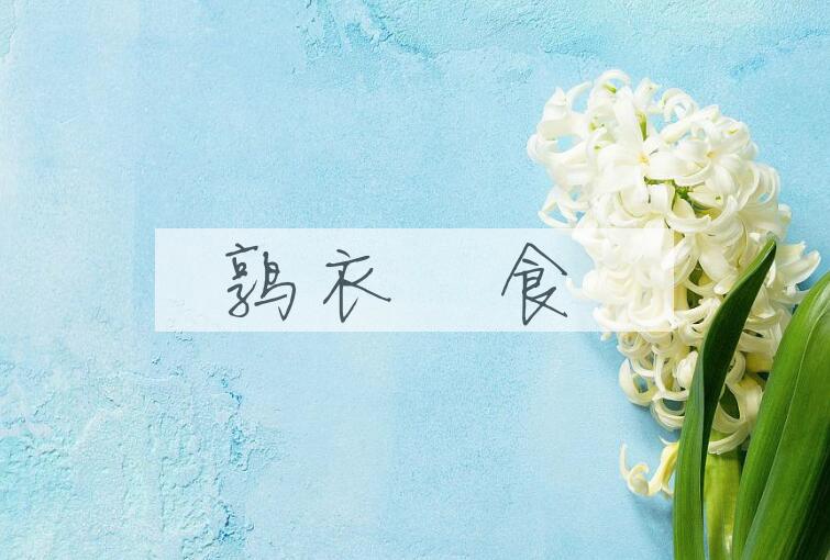 成语鹑衣鷇食是什么意思？