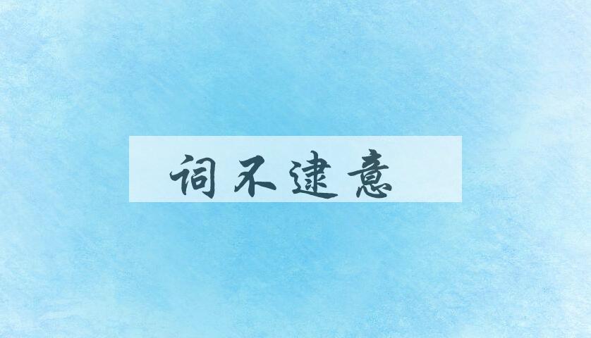 成语词不逮意是什么意思？
