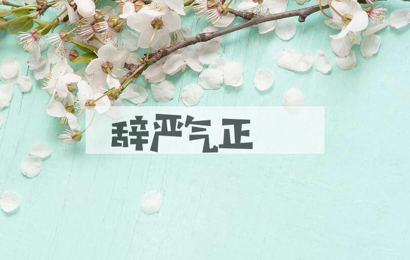 成语辞严气正是什么意思？