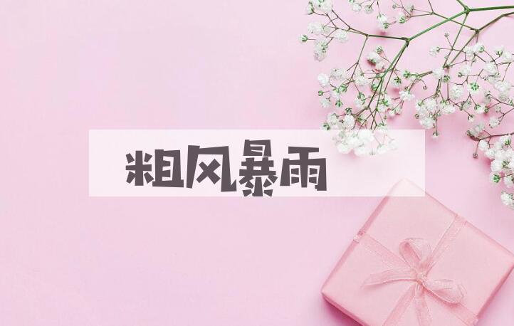 成语粗风暴雨是什么意思？
