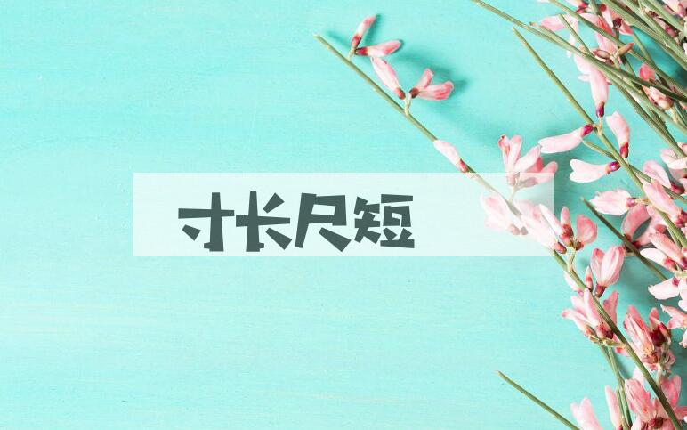 成语寸长尺短是什么意思？