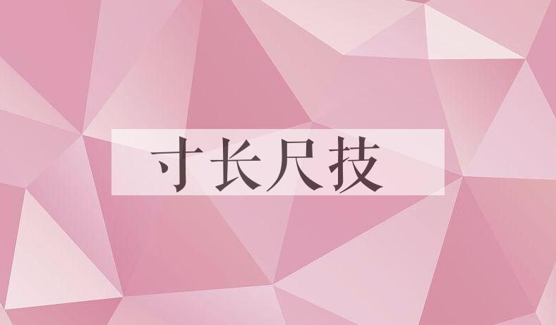 成语寸长尺技是什么意思？