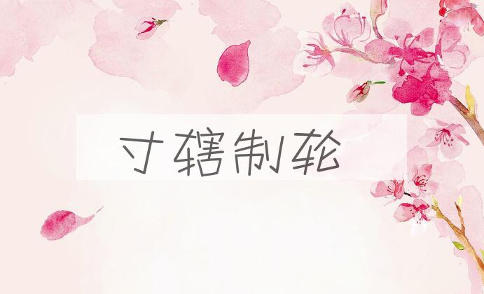 成语寸辖制轮是什么意思？