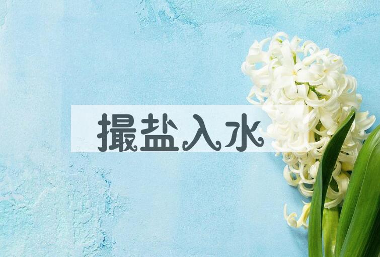 成语撮盐入水是什么意思？