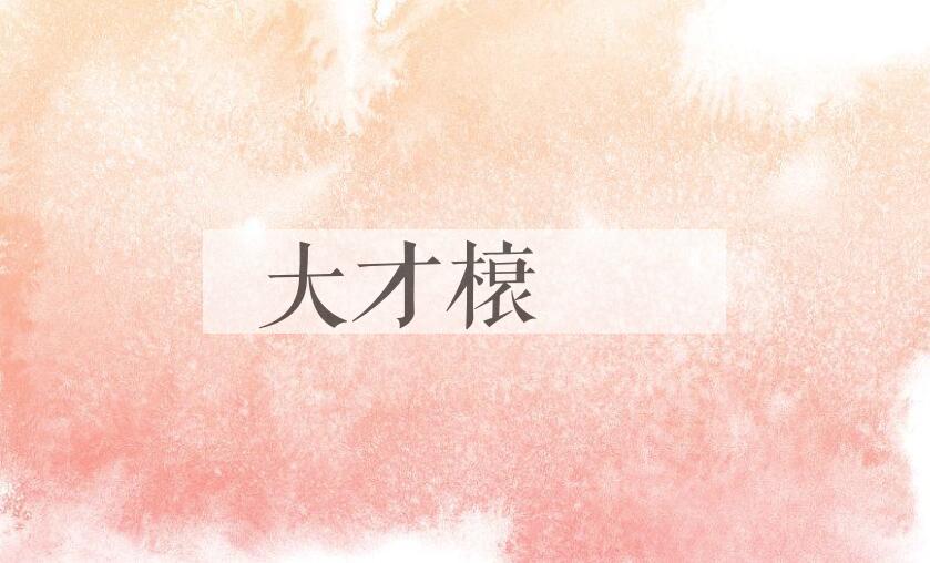 成语大才榱槃是什么意思？