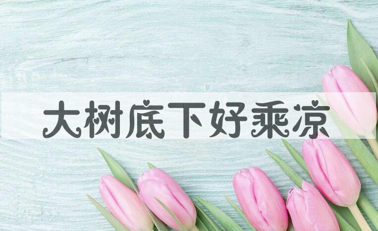 成语大树底下好乘凉是什么意思？