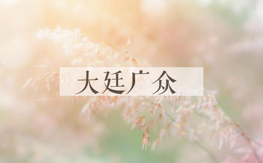 成语大廷广众是什么意思？