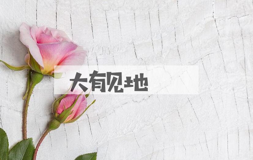 成语大有见地是什么意思？