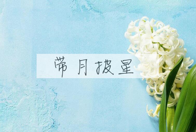 成语带月披星是什么意思？