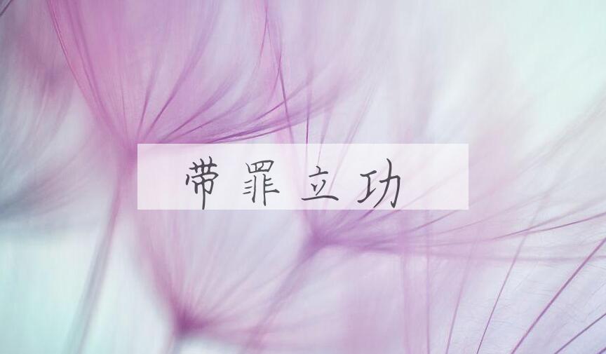 成语带罪立功是什么意思？