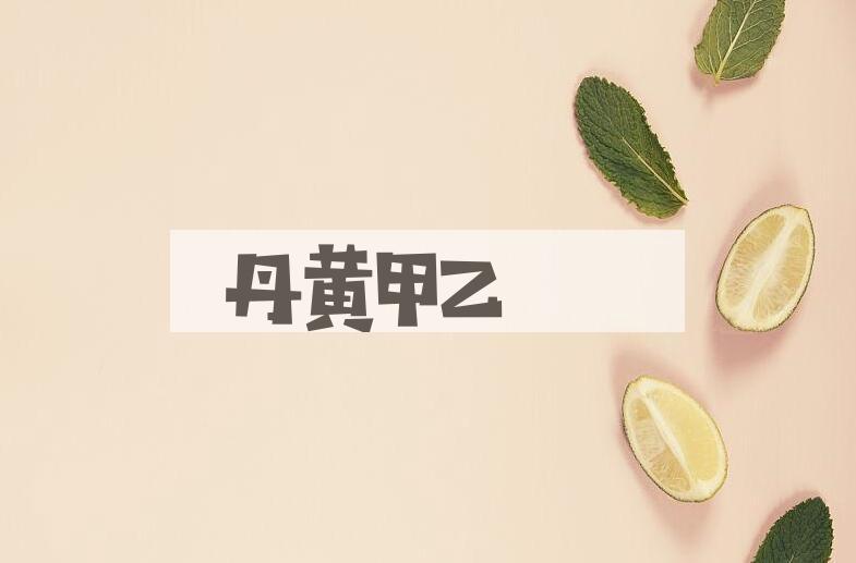 成语丹黄甲乙是什么意思？