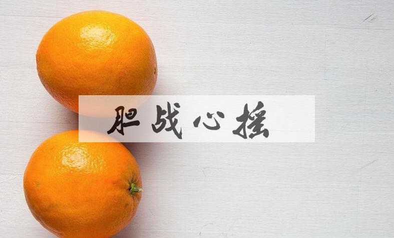 成语胆战心摇是什么意思？
