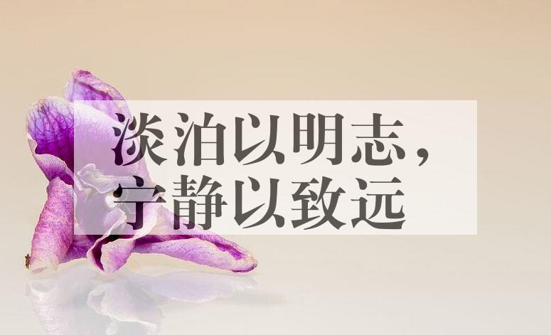 成语淡泊以明志，宁静以致远是什么意思？