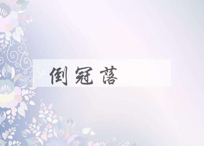 成语倒冠落珮是什么意思？