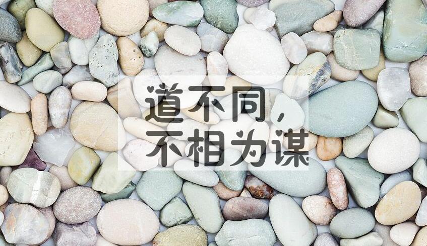 成语道不同，不相为谋是什么意思？