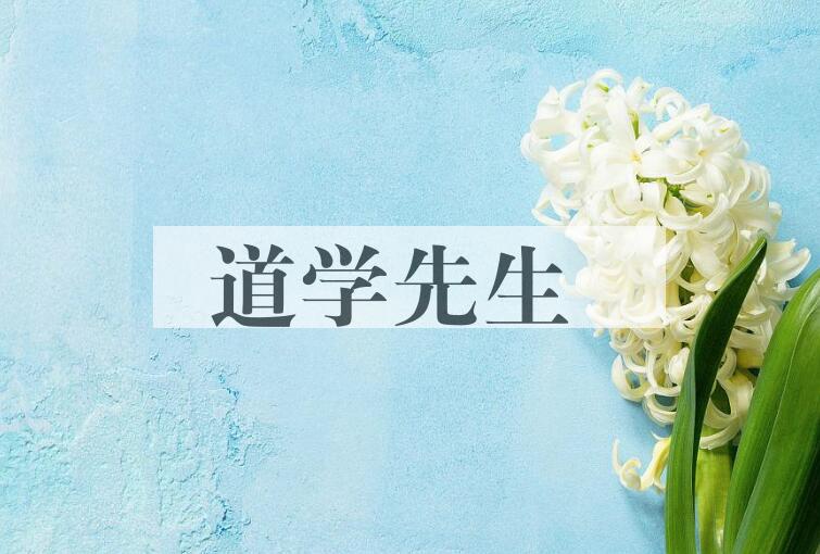 成语道学先生是什么意思？