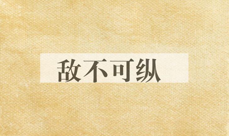 成语敌不可纵是什么意思？