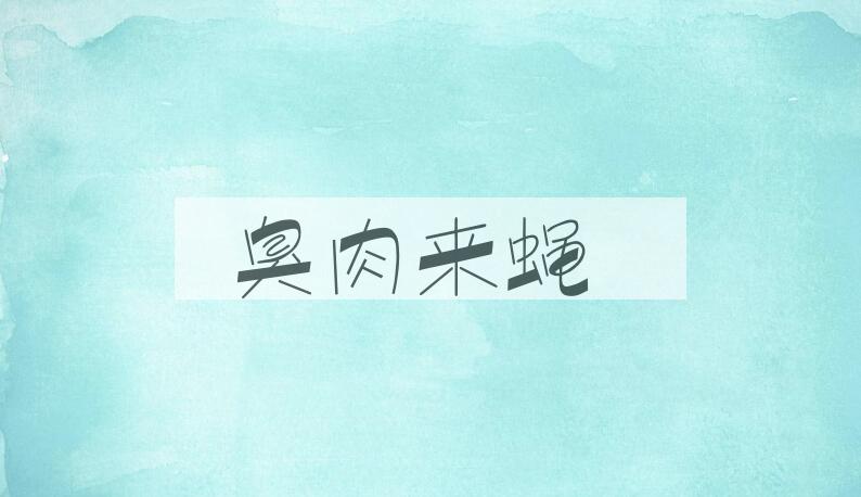 成语臭肉来蝇是什么意思？