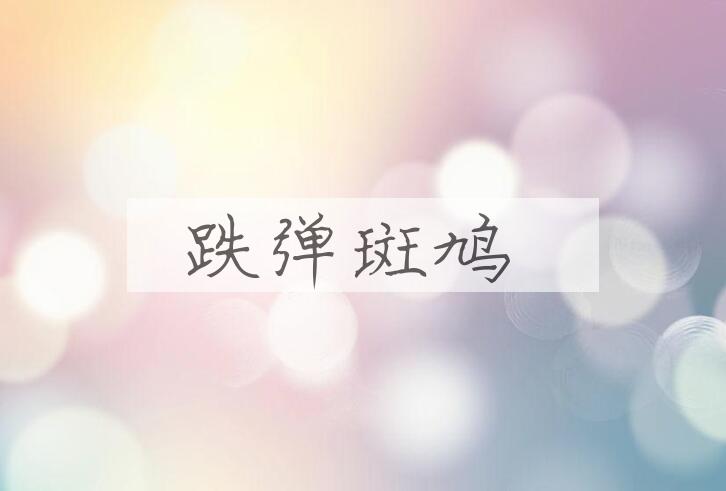 成语跌弹斑鸠是什么意思？