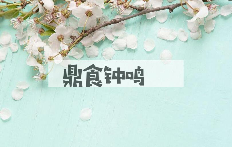成语鼎食钟鸣是什么意思？