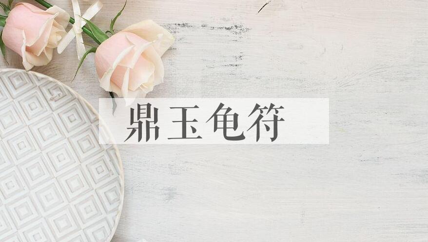 成语鼎玉龟符是什么意思？