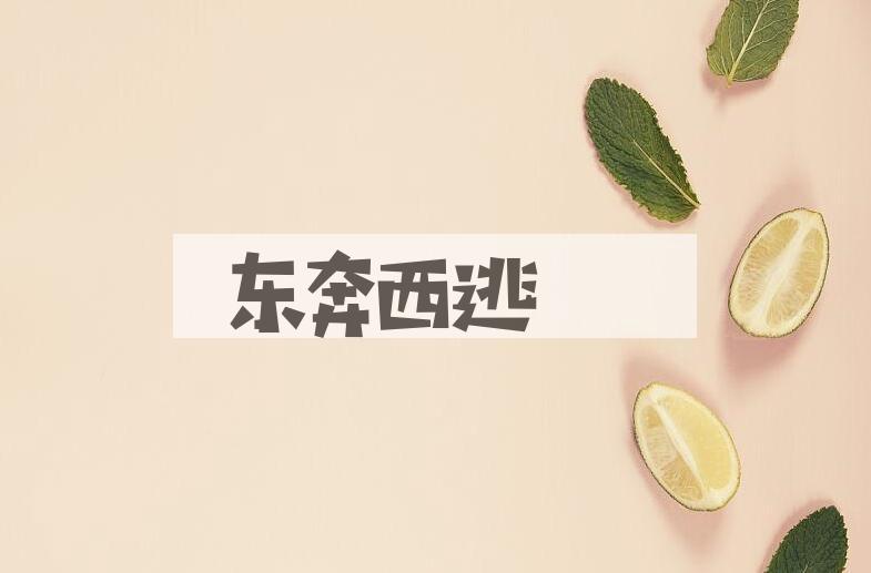 成语东奔西逃是什么意思？