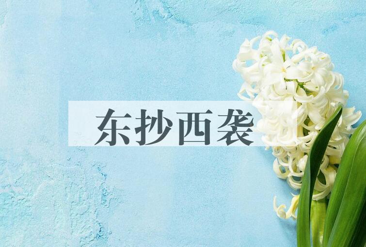 成语东抄西袭是什么意思？