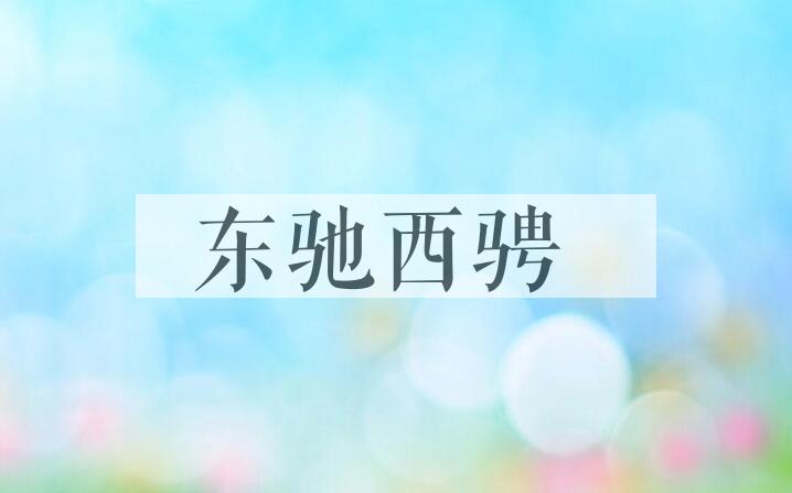 成语东驰西骋是什么意思？