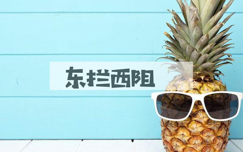 成语东拦西阻是什么意思？
