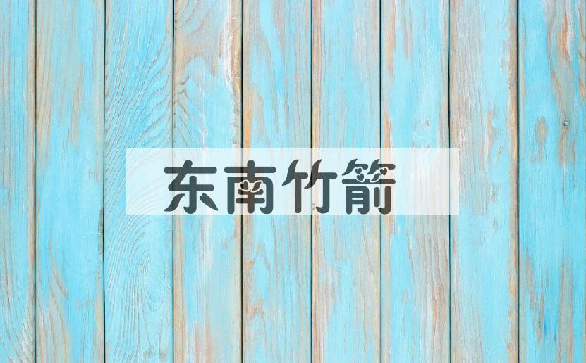 成语东南竹箭是什么意思？