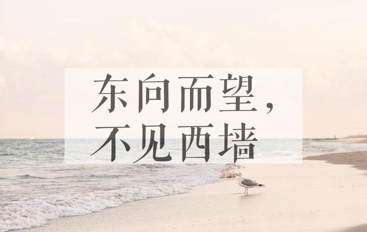 成语东向而望，不见西墙是什么意思？