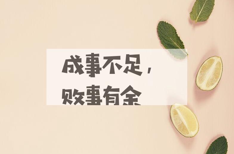 成语成事不足，败事有余是什么意思？