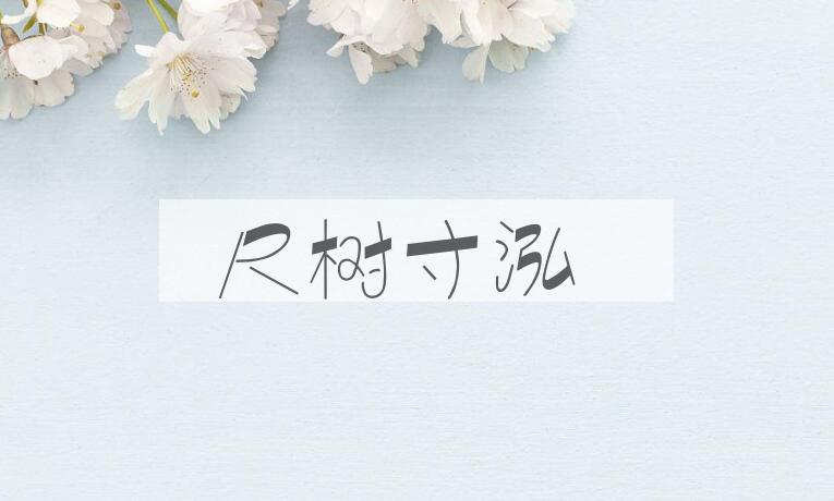 成语尺树寸泓是什么意思？