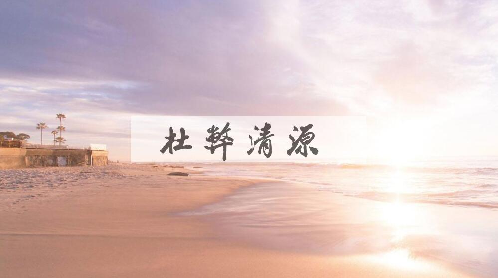 成语杜弊清源是什么意思？